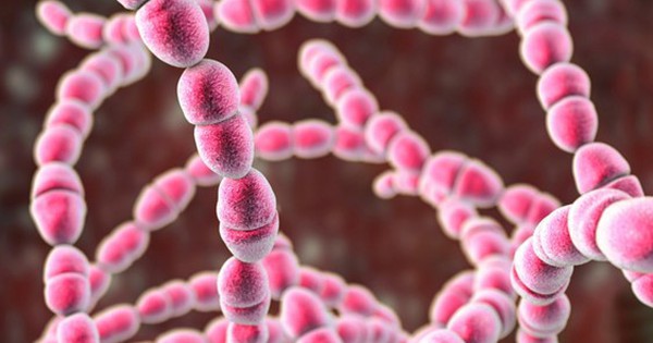 Bé 11 tuổi đột ngột co giật, bác sĩ “sốc” khi phát hiện thủ phạm quen thuộc