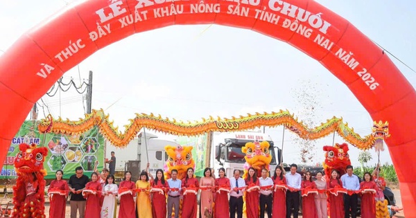 Đồng Nai xuất khẩu 220 tấn chuối, mở rộng thị trường nông sản năm 2026