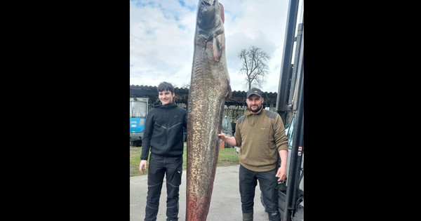 Ngư dân câu được con cá trê khổng lồ nặng 109kg trong hồ