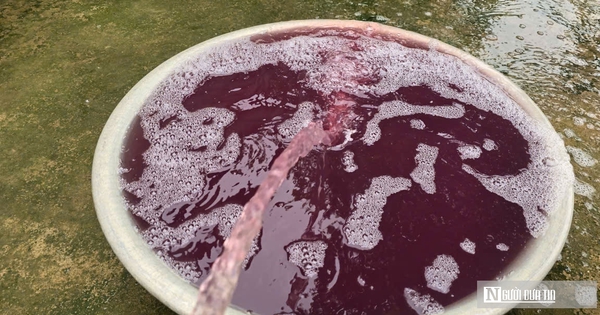 Vụ nước giếng khoan chuyển màu tím: Tạm dừng hoạt động giặt là nhà máy may