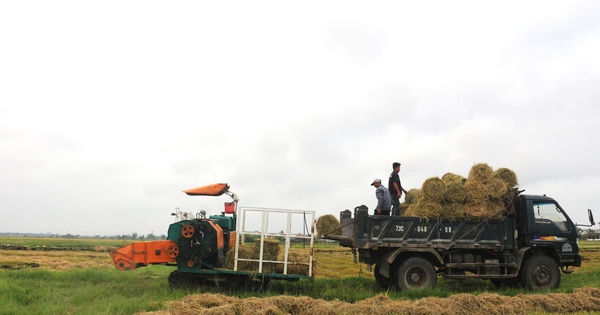 Cách giúp nông dân không phải vất vả xử lý rơm rạ mà vẫn có thu nhập