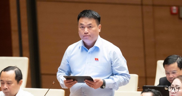 ĐBQH lo học sinh, giáo viên kiệt sức vì chạy theo thành tích, điểm số