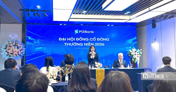 ĐHĐCĐ PGBank: Lên kế hoạch lấn sân lĩnh vực chứng khoán, 