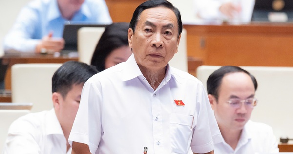 Lo ngại luật sư công 