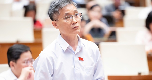 Thí điểm luật sư công tại 8 bộ, 10 địa phương: Cần một cơ quan điều phối chung để hiệu quả