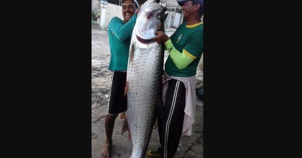 Ngư dân bắt được con cá khổng lồ dài 2 mét, nặng 70kg