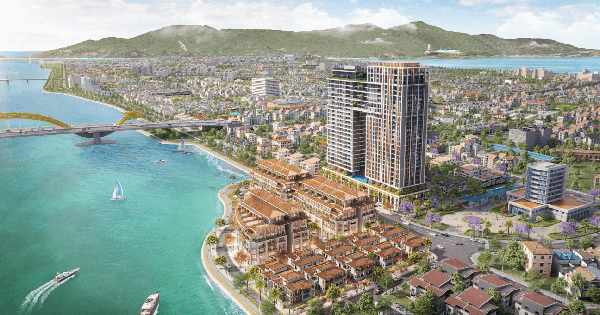 Cù Lao Chàm báo lãi hơn 775 tỷ đồng năm 2025, vốn chủ sở hữu tăng gấp đôi