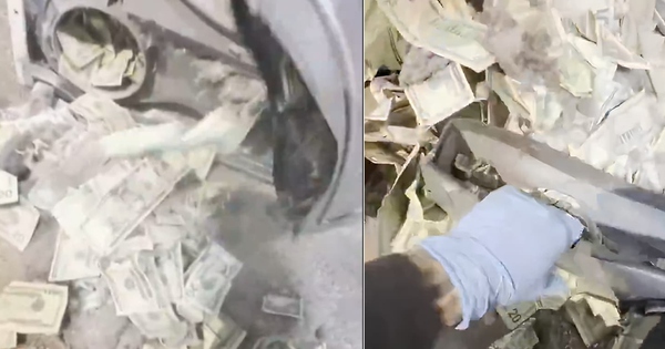 Mua máy sấy cũ, người đàn ông phát hiện đầy tiền mặt bên trong