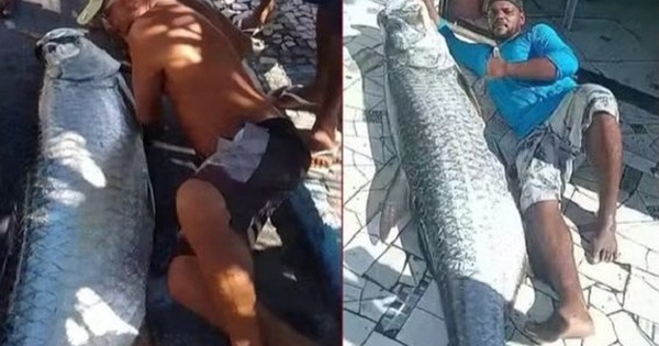 Ngư dân bắt được con cá khổng lồ dài 1,9m và nặng 120kg