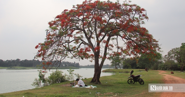 Người dân đổ về ngắm 