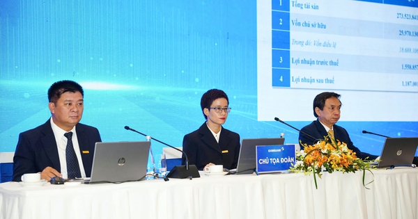 Cổ đông chất vấn vai trò của cổ đông lớn, Eximbank khẳng định không can thiệp điều hành