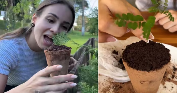 Cô gái trẻ ngày nào cũng ăn đất sét, bí ẩn phía sau khiến hàng triệu người choáng váng