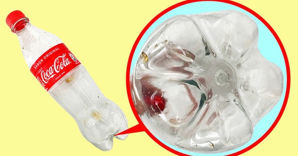 Vì sao đáy chai nước ngọt bằng nhựa thường có hình cánh hoa?