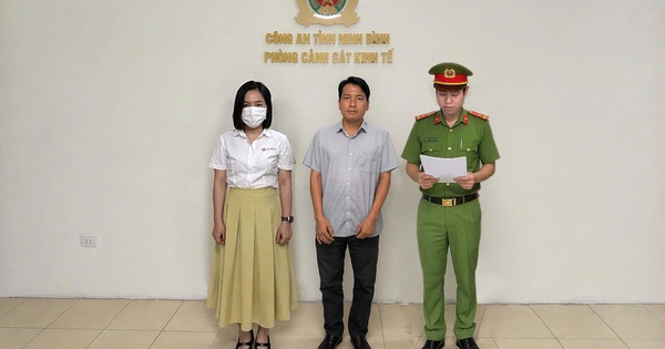 Trốn thuế, giám đốc và kế toán công ty ở Ninh Bình bị khởi tố