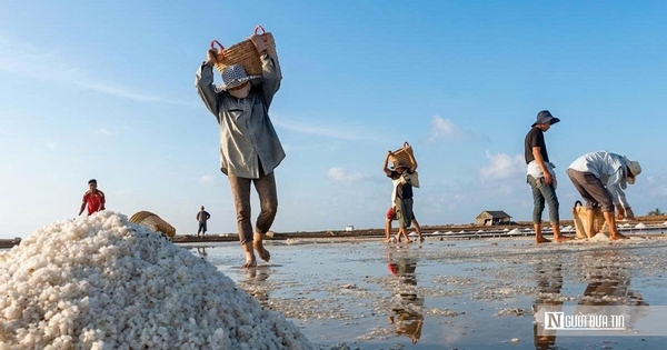 Theo chân diêm dân “nuôi” muối giữa nắng, gió và mồ hôi