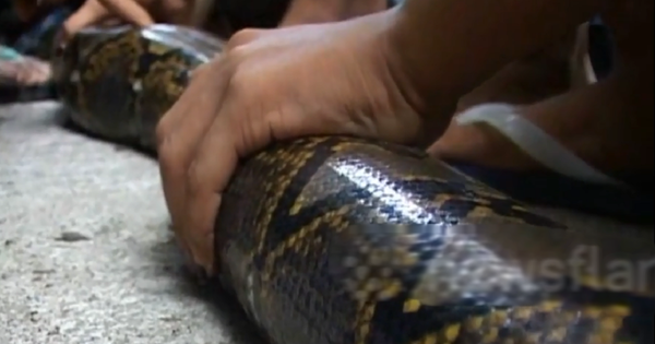 Nhìn ra ngoài đường, người dân thấy cảnh tượng 