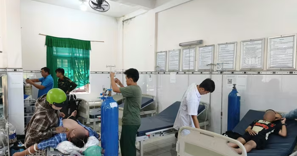 Ba người bị ong đốt khi đi tảo mộ, phải cấp cứu khẩn