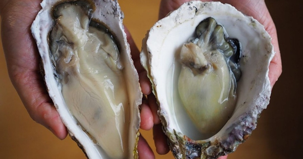 Ăn hải sản kiểu 