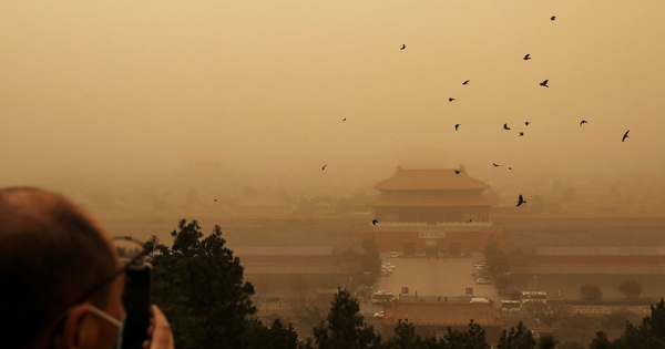 Cứ đêm đến quạ đen kéo kín trời ở Tử Cấm Thành, sự thật khiến ai cũng rợn người