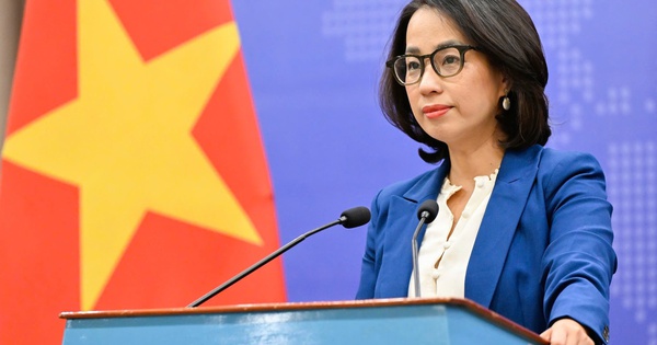 Việt Nam kiên quyết xử lý nghiêm mọi hành vi xâm phạm quyền sở hữu trí tuệ