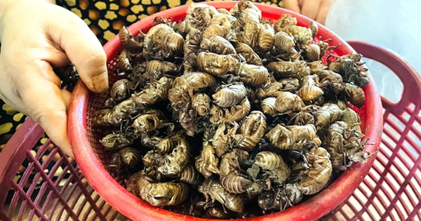 www.nguoiduatin.vn