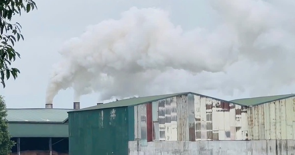 Khói mù mịt từ nhà máy viên nén: Quan trắc độc lập phát hiện khí CO vượt chuẩn