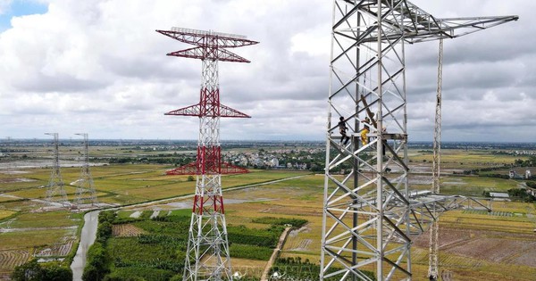 VNECO bác tin tham gia dự án 500kV mạch 3, lên tiếng việc hủy niêm yết bắt buộc