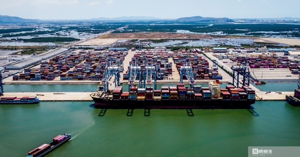 Cước biển tăng tới 80%, hàng Việt sang Nam Mỹ chịu áp lực cạnh tranh lớn