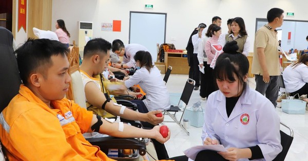 Tuổi trẻ Công ty Điện lực Lâm Đồng sôi nổi phong trào, khẳng định tinh thần xung kích