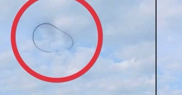 Đang đi ngoài đường, người dân bỗng thấy cảnh tượng “nổi da gà”
