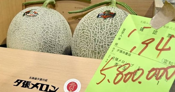 Hai quả dưa lưới được bán với giá gần 1 tỷ đồng