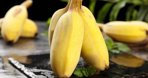 Chỉ vài nghìn đồng, loại quả này lại chứa 