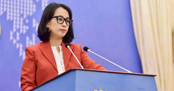Đề nghị phía Hoa Kỳ đánh giá khách quan, công bằng nỗ lực của Việt Nam trong bảo vệ quyền sỡ hữu trí tuệ 