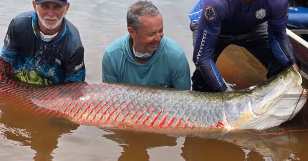 Ngư dân bắt được con cá khổng lồ hơn 2,15 mét, nặng 98 kg trên sông