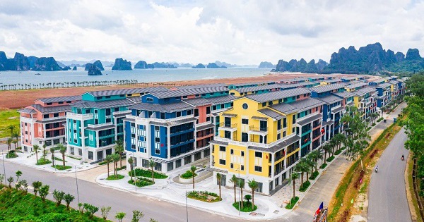 CEO Group đang 