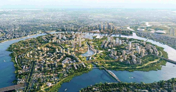 Tập đoàn Mặt Trời báo lãi 178 tỷ đồng năm 2025, giảm 80% so với năm trước — image 2