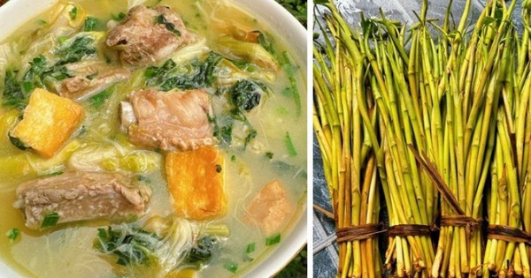 Loại rau tuổi thơ không biết làm thì ngứa rách miệng, người thích ăn ...