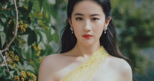 Những mỹ nhân Hoa ngữ xinh đẹp, giàu có nhưng vẫn "ế"