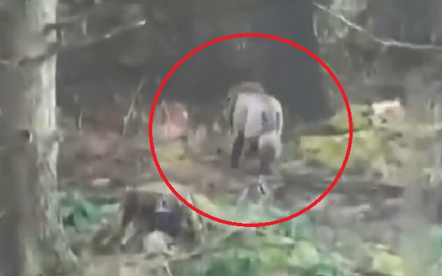 Tài xế xe tải phát hiện "sư tử" lang thang trong rừng và sự thật bất ngờ