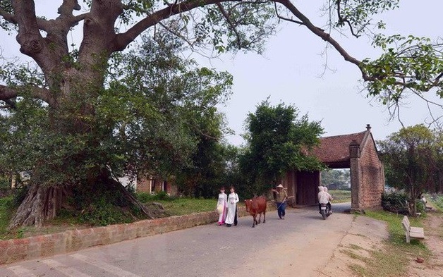 Làng Việt - Nơi lịch sử thở bằng đất