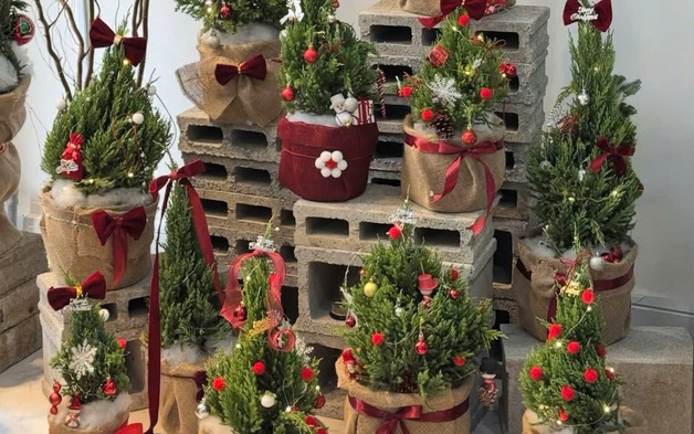 Cây thông, tùng mini “cháy hàng” mùa Noel 2025