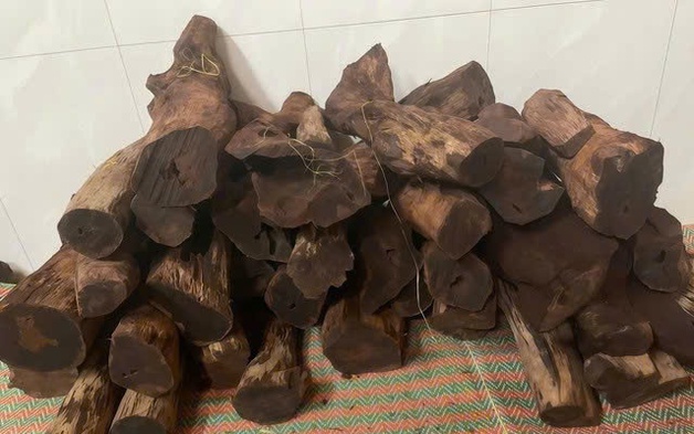 Dân ồ ạt lên rừng săn lùng gỗ tạp bán 3 triệu đồng/kg: Siết chặt quản lý rừng