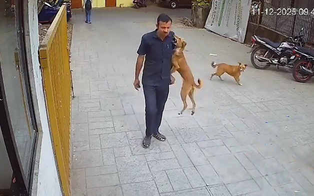 Chó dữ nhảy lên cắn vào vai nam bảo vệ và cái kết