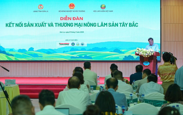 Doanh nghiệp kể chuyện "làm lớn từ điều giản dị" với nông sản Tây Bắc