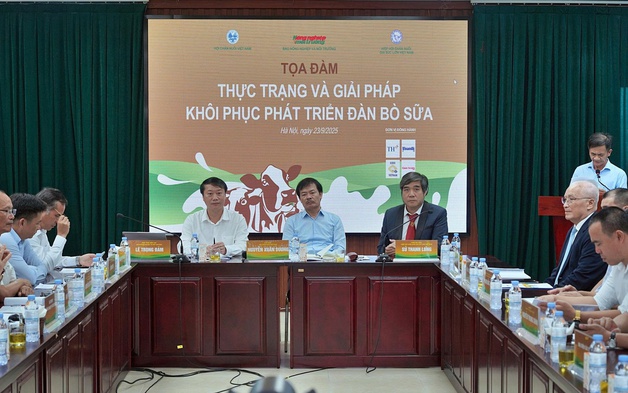 Nghịch lý ngành sữa: Chế biến bùng nổ nhưng quy mô lao dốc