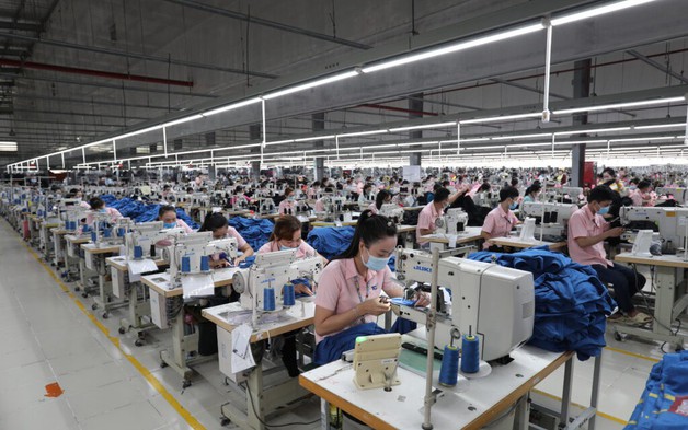 Lợi nhuận Dệt may Thành Công giảm mạnh