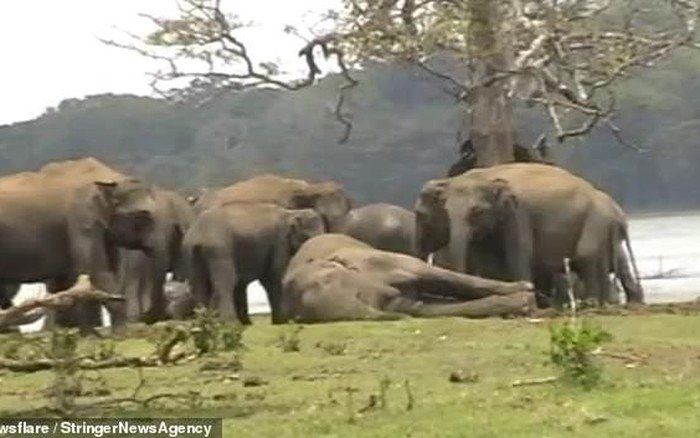 Video: 300 con voi tập trung tiễn đưa và tỏ lòng thương tiếc ...