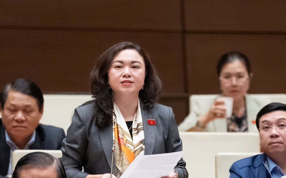 ĐBQH nêu lý do cần có thẩm phán toà chuyên biệt là người nước ngoài